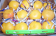 ruby grapefruit