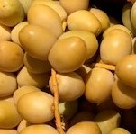 Barhee dates in yellow state